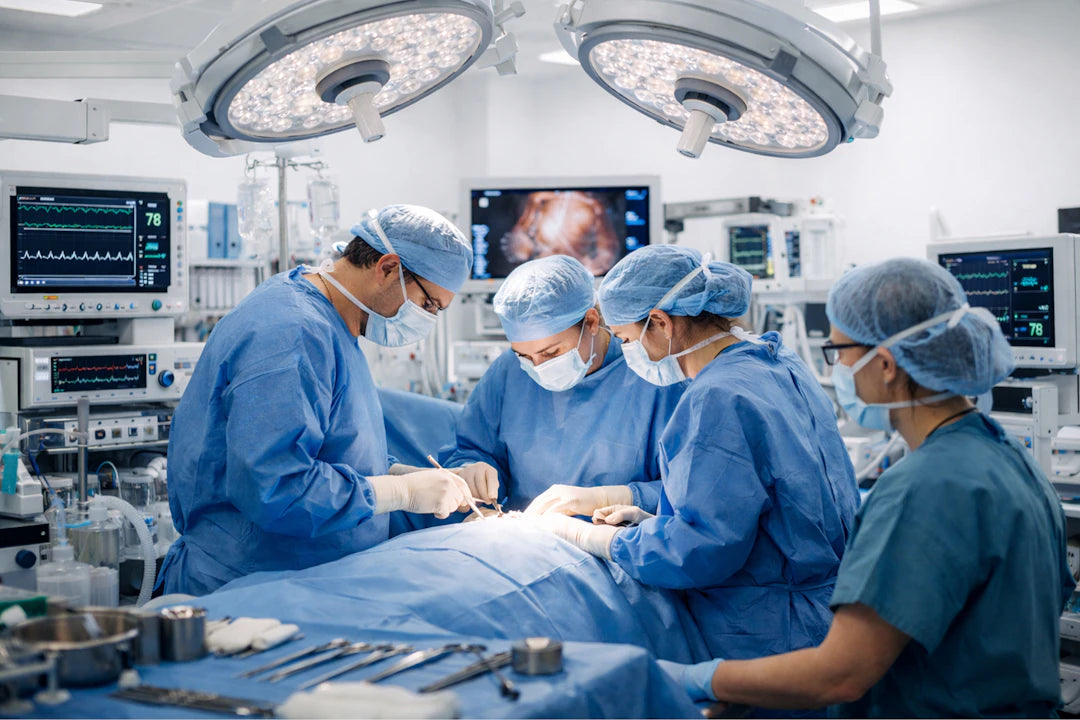 Surgical Suturing in Animal Procedures The Essentials