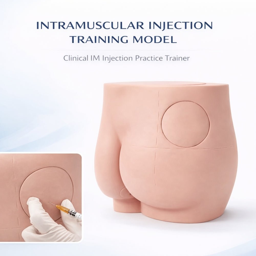 Buttock Intramuscular Injection Training Model Gluteal IM Injection Practice Simulator - Surgical TrainingIMB-0011