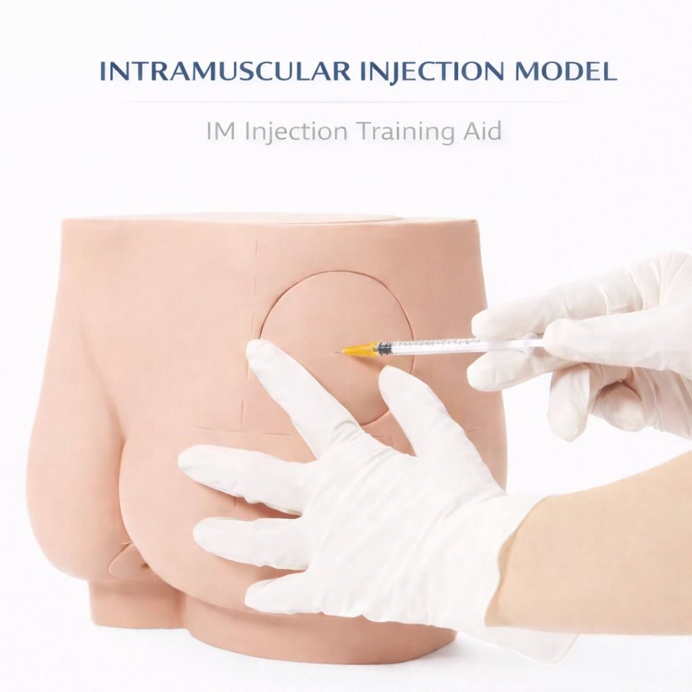 Buttock Intramuscular Injection Training Model Gluteal IM Injection Practice Simulator - Surgical TrainingIMB-0011