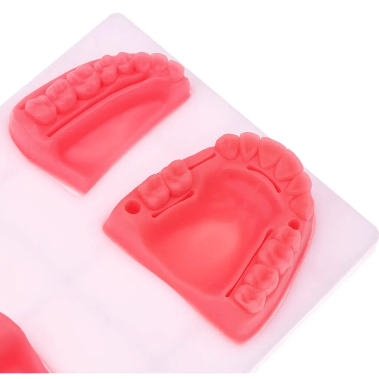 Dental Oral Gum Silicone Periodontitis Suture Model – Realistic Gum Suturing Training Pad for Dental Students, Oral Surgery Practice & Clinical Skills Education - Suture Training PadSC -1006