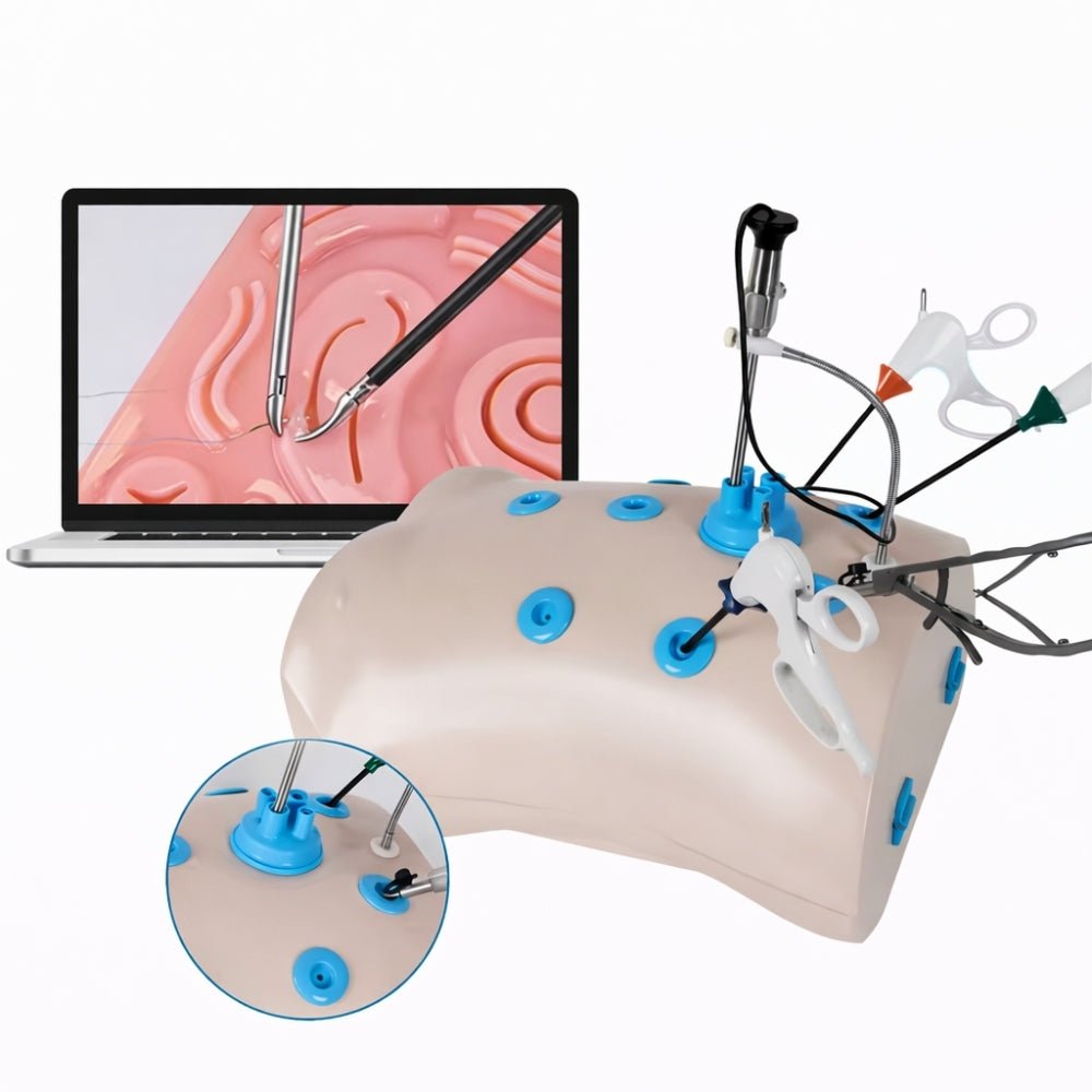 Laparoscopic Trainer Box Set with Instruments Laparoscopy Surgical Skills Training Simulator - Surgical TrainingLBT-002