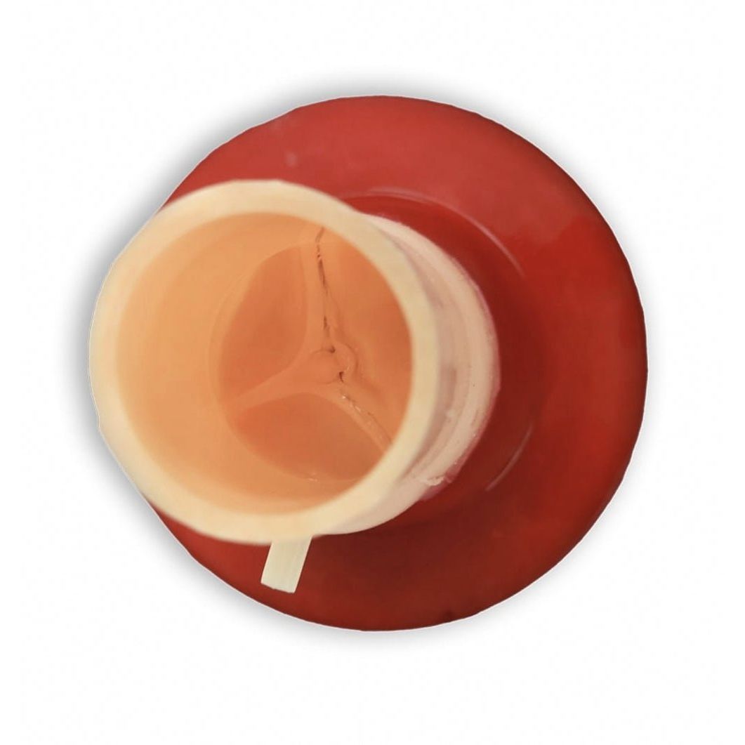 Bicuspid Aortic Valve Model | Cardiac Surgery Training Simulator - Surgical TrainingLL-TRN-0185