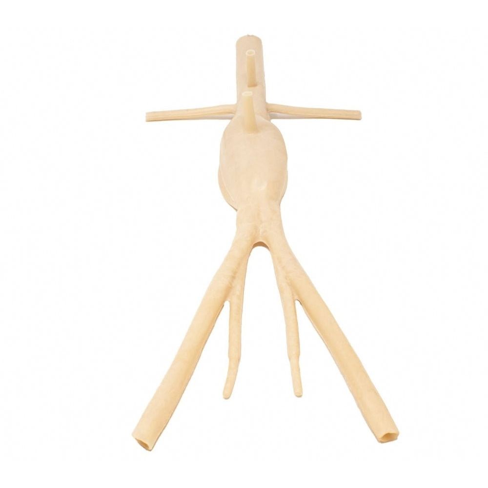 Abdominal Aortic Aneurysm Model | AAA Surgical Training Simulator - Surgical TrainingLL-TRN-0217