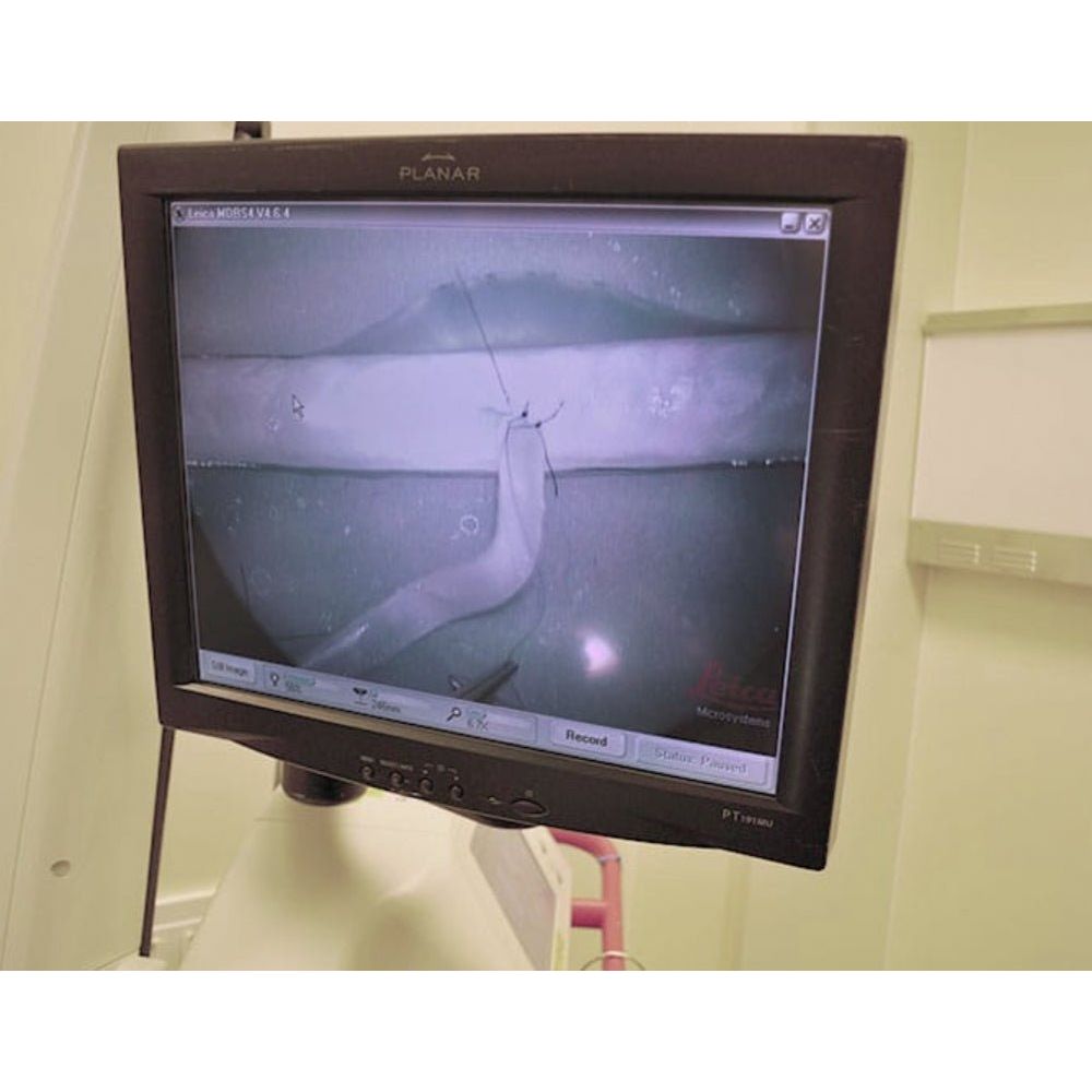 Microvessels Training Models | Microvascular Anastomosis Surgical Simulator - Surgical Training