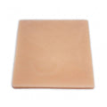 Abdominal Multilayer Skin Model | Surgical Suturing & Tissue Dissection Trainer - Surgical TrainingLL-TRN-0431