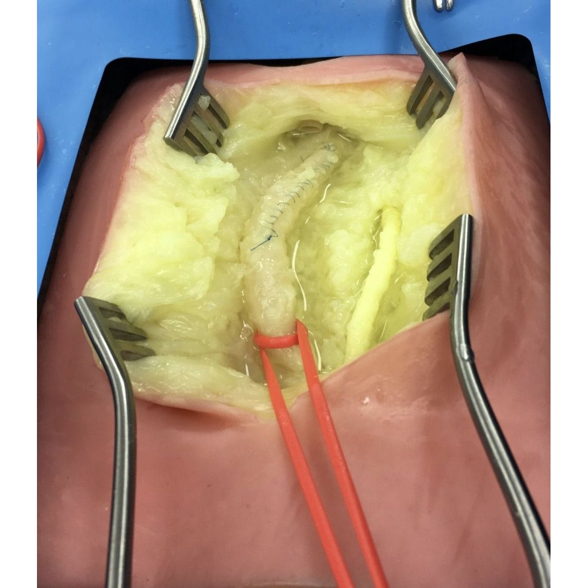 VI Box Surgical Simulator | Vascular & Surgical Skills Training System - Surgical TrainingLL-TRN-1270