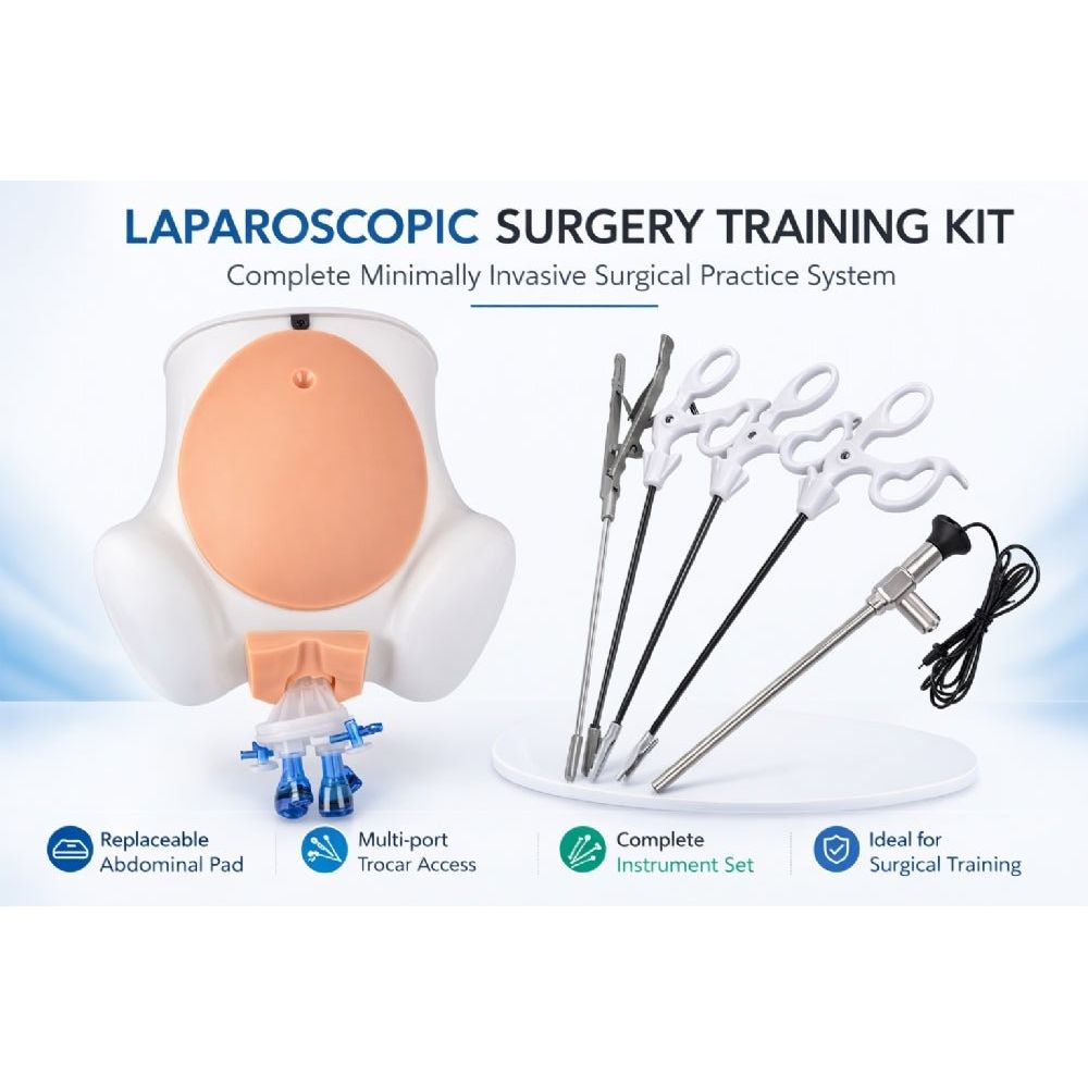 Abdominal Laparoscopic Surgery Simulator – Advanced Minimally Invasive Surgical Training System - Surgical TrainingMS-LAP-SIM02