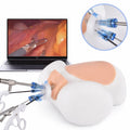 Abdominal Laparoscopic Surgery Simulator – Advanced Minimally Invasive Surgical Training System - Surgical TrainingMS-LAP-SIM02