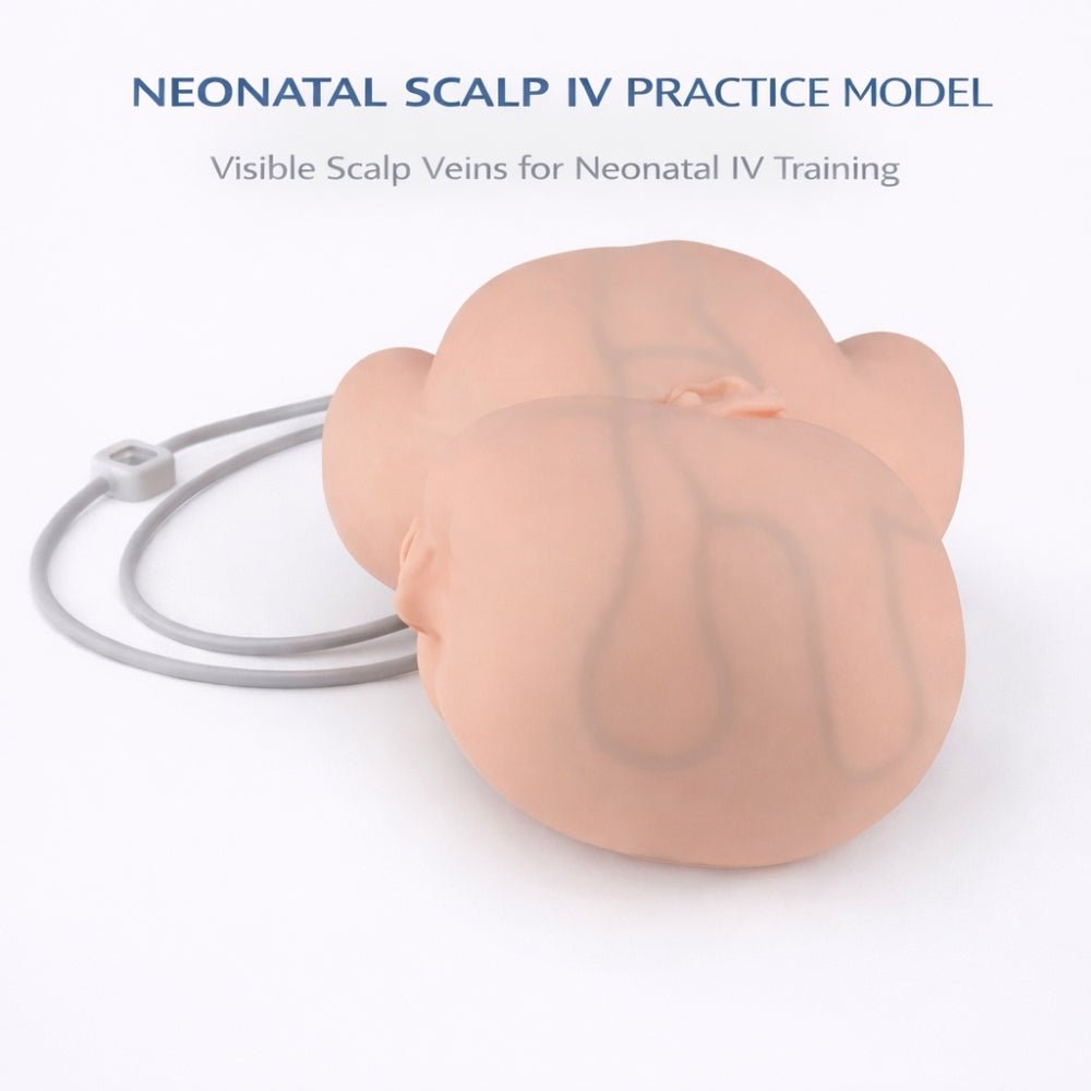 Infant Head IV Injection & Scalp Venipuncture Training Model Neonatal Clinical Skills Simulator - Surgical TrainingNIC-001